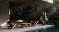Poltrona Arcus Set
